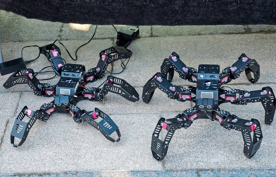 Two hexapod spider robots
